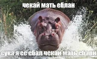 🤬 emoji Больше стикеров: @sticerru Telegram sticker 8 of 119