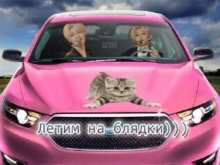 🤗 emoji капопские мемы — @stckrRobot Telegram sticker 24 of 77