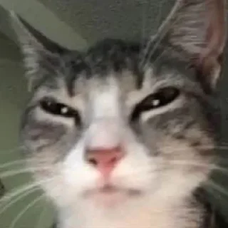 😑 emoji Mısıq Emes Telegram sticker 21 of 120