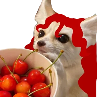 😺 emoji Феньгонёк Telegram sticker 3 of 45