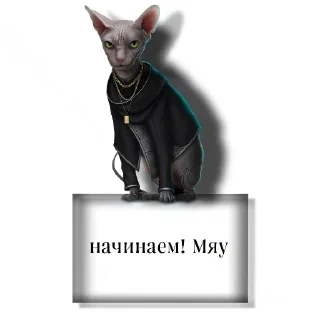 🐱 emoji City-Games of RC ➡️ @Ctikerubot Telegram sticker 19 of 40