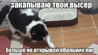 😘 emoji Создай свои стикеры - @sozdsti_bot Telegram sticker 21 of 37