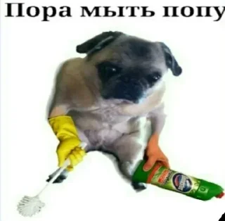 🚿 emoji Больше стиков тут: @stikery4 Telegram sticker 19 of 120