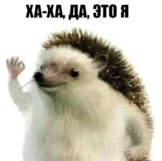 👋 emoji Больше стиков тут: @stikery4 Telegram sticker 4 of 120