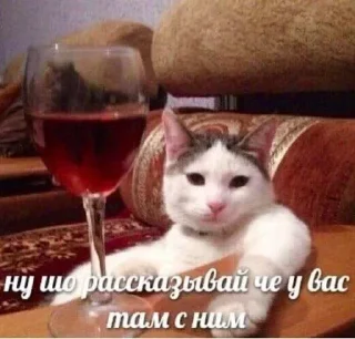 🌟 emoji Больше стиков тут: @stikery4 Telegram sticker 18 of 120