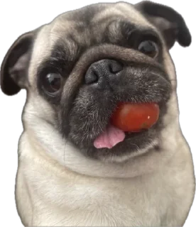 🌟 emoji GRILLYAZH Chat pack by @QuotLyBot Telegram sticker 15 of 36