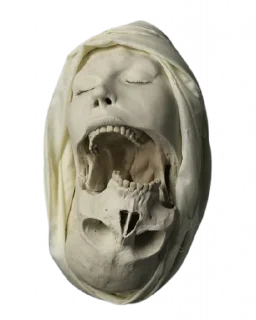 💀 emoji 𝗔𝗗𝗔𝗠 𝗢𝗧𝗜𝗦 Telegram sticker 18 of 55