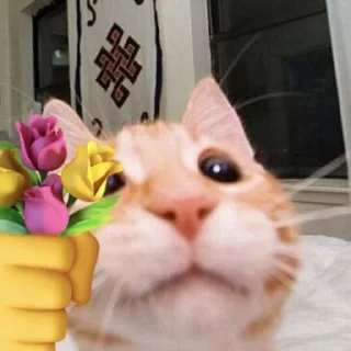 😻 emoji Больше стикеров: @sticerru Telegram sticker 12 of 28