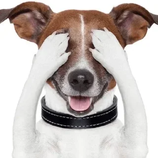 😵‍💫 emoji Создай свои стикеры - @sozdsti_bot Telegram sticker 21 of 37