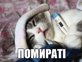 😒 emoji Perevalovsk — @stckrRobot Telegram sticker 20 of 50
