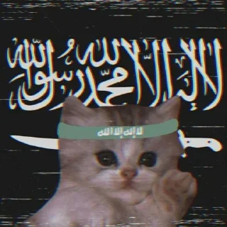 😼 emoji 𝗻𝗮𝘁𝗶𝗼𝗻𝗮𝗹 𝗜𝘀𝗹𝗮𝗺𝗶𝘀𝗺 — @stckrRobot Telegram sticker 3 of 78