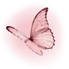 🦋 emoji aysss'🫦 ➡️ @Ctikerubot Telegram sticker 2 of 65