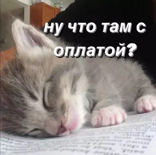 😰 emoji @saintwb СТИКЕРЫ ДЛЯ АДМИНОВ Telegram sticker 11 of 39