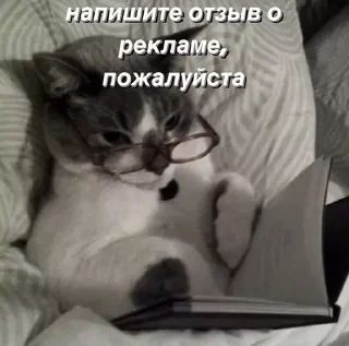 😁 emoji @saintwb СТИКЕРЫ ДЛЯ АДМИНОВ Telegram sticker 12 of 39