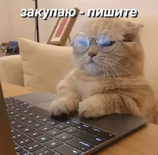 💰 emoji @saintwb СТИКЕРЫ ДЛЯ АДМИНОВ Telegram sticker 15 of 39