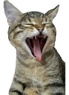 🥱 emoji Мая Telegram sticker 12 of 28