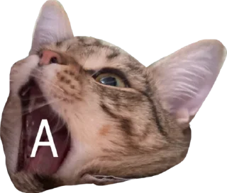 🙀 emoji Мая Telegram sticker 16 of 28