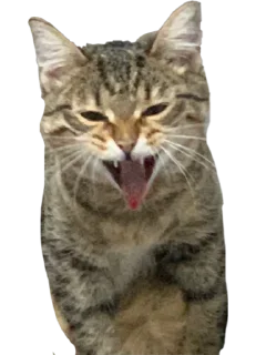 😛 emoji Мая Telegram sticker 24 of 28