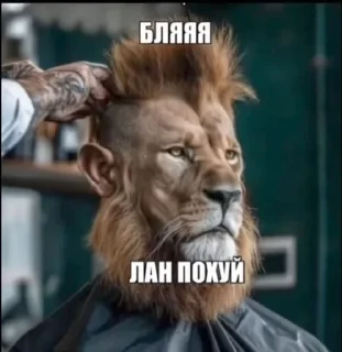 🌟 emoji китекет @ch3zerr Telegram sticker 16 of 120