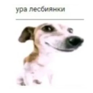 🥰 emoji перданул Telegram sticker 8 of 10