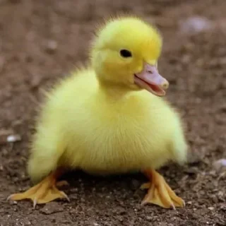 😃 emoji Больше стиков тут: @stikery4 Telegram sticker 14 of 77