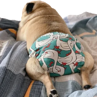 🩲 emoji @pug_leonid Telegram sticker 21 of 34