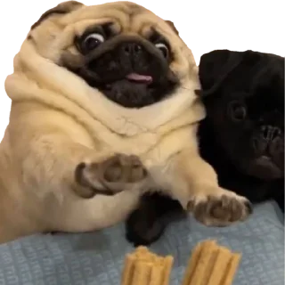 😋 emoji @pug_leonid Telegram sticker 7 of 34
