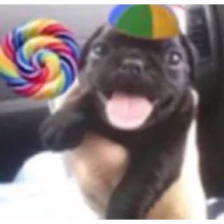 👅 emoji рандом два Telegram sticker 15 of 46