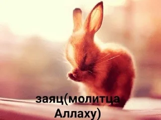 🌟 emoji рандом два Telegram sticker 22 of 46