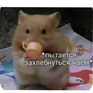 Sticker from Двп2