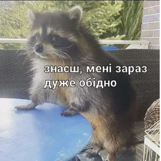 👀 emoji Дідько Telegram sticker 6 of 63
