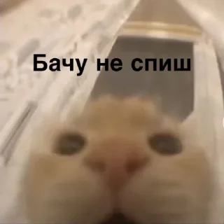 👀 emoji Дідько Telegram sticker 20 of 63