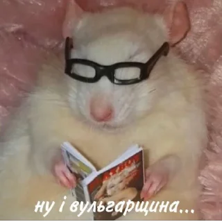 👀 emoji Дідько Telegram sticker 16 of 63