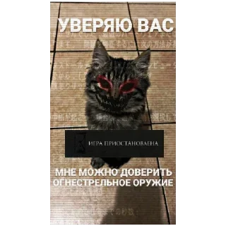 Sticker from натянул бы?