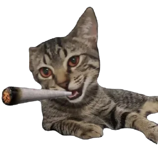 🫥 emoji SinniminisStikers Telegram sticker 21 of 91