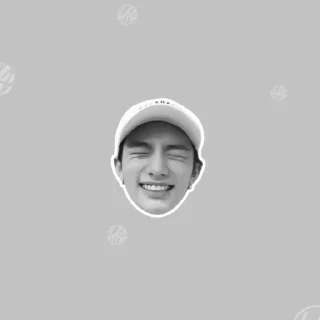 🕸 emoji hy @hyunjinoke Telegram sticker 22 of 24