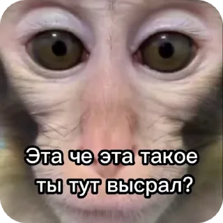 🌟 emoji На случай важных переговоров Telegram sticker 24 of 41