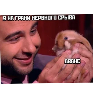 💇 emoji На случай важных переговоров Telegram sticker 1 of 41