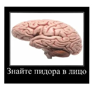 ✋ emoji Самый нужный стикер-пак нонконформиста Telegram sticker 23 of 120