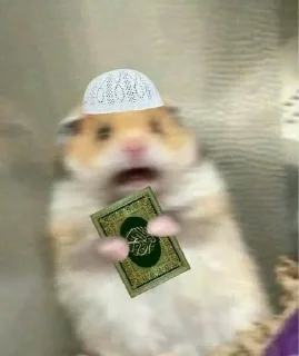 😵 emoji I’m a muslim broo Telegram sticker 6 of 28