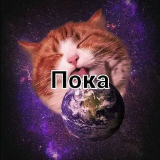 Sticker from Для чата @cat_mafia_0 ➡️ @Ctikerubot