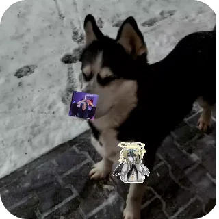 Sticker from dog @fStikBot