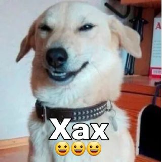 😃 emoji СОЗДАЛ: @PACCBET_CCCP Telegram sticker 6 of 102