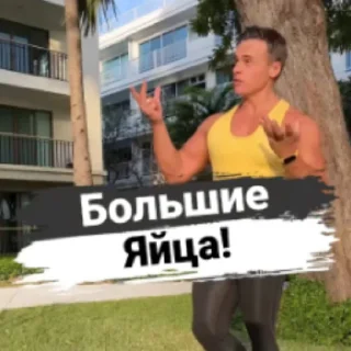 🥚 emoji Севастополь 42 тренера из Спартака Telegram sticker 2 of 13
