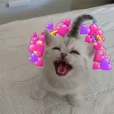 💕 emoji love is love Telegram sticker 14 of 61