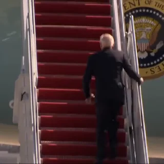 🙈 emoji Trump & Biden @stickersb2b Telegram sticker 19 of 50