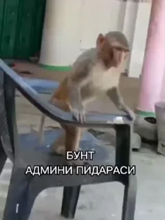 Sticker from Ну да