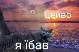Sticker from ЦЕЙ ВО , ПОФІГ 👹