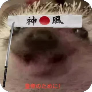 🦔 emoji Ежиная империя Telegram sticker 8 of 25