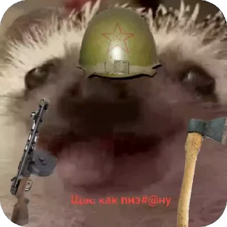 🦔 emoji Ежиная империя Telegram sticker 9 of 25